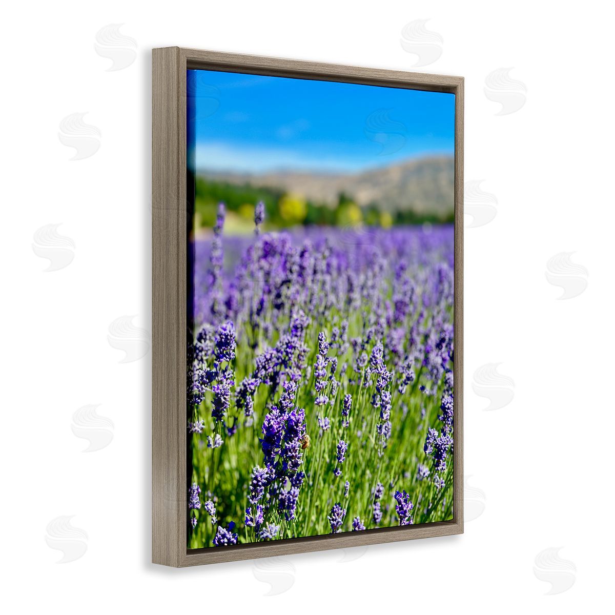 Lavender in the Wind Brown Floating Frame Canvas Wall Art, Home Decor by Kali Wilson