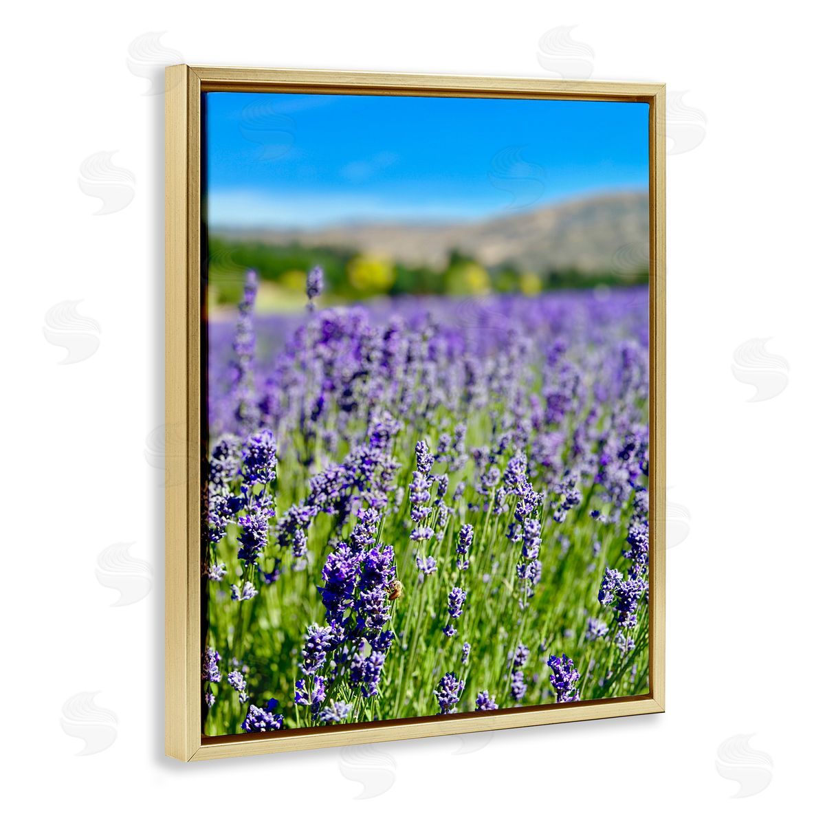 Lavender in the Wind Gold Floating Frame Canvas Wall Art, Home Decor by Kali Wilson