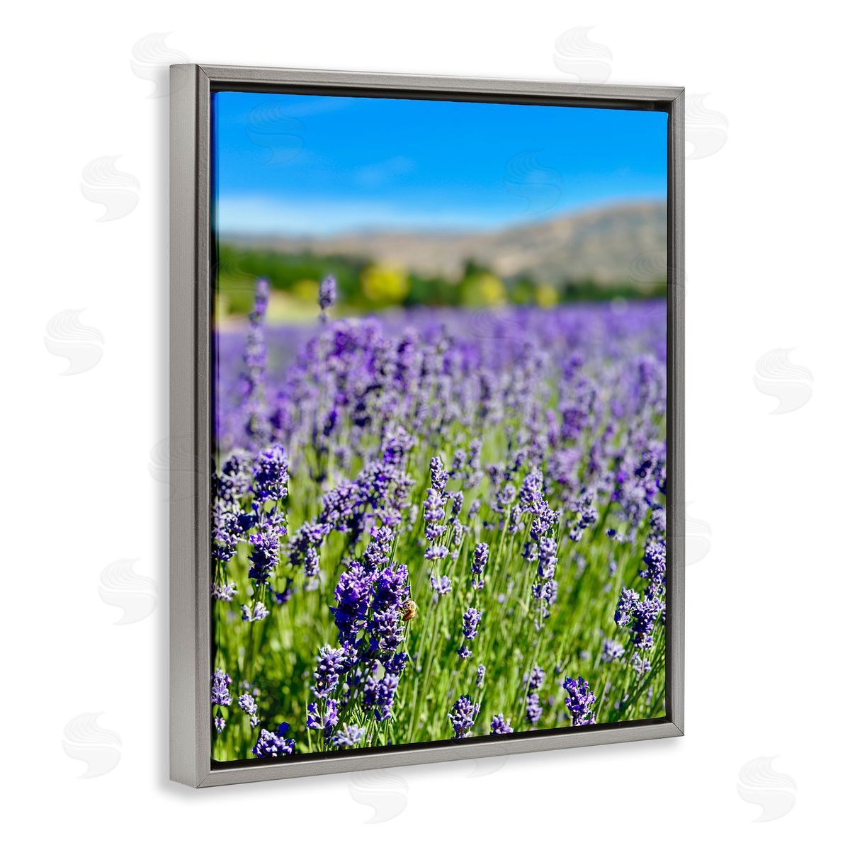 Lavender in the Wind Grey Floating Frame Canvas Wall Art, Home Decor by Kali Wilson