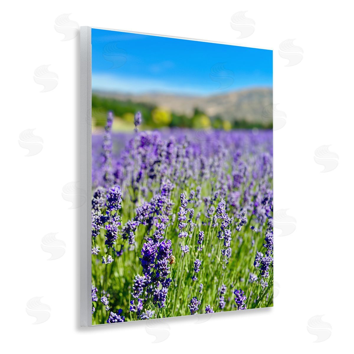 Lavender in the Wind Wood Plaque Wall Art, Home Decor by Kali Wilson