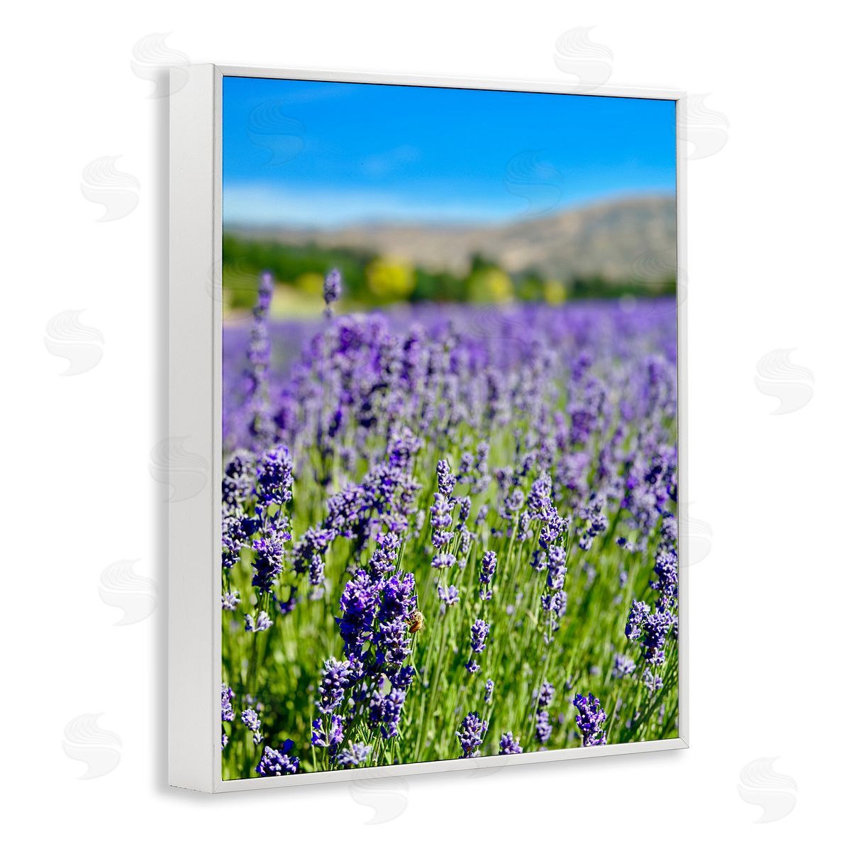 Lavender in the Wind White Frame Print Wall Art, Home Decor by Kali Wilson
