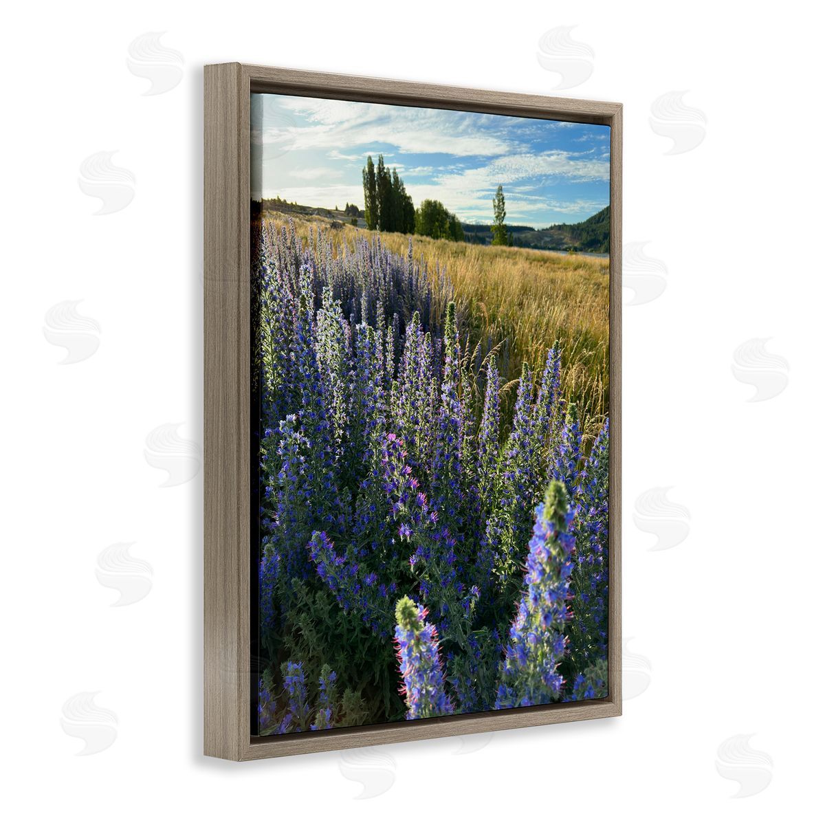 Lavender Fields Landscape Brown Floating Frame Canvas Wall Art, Home Decor by Kali Wilson