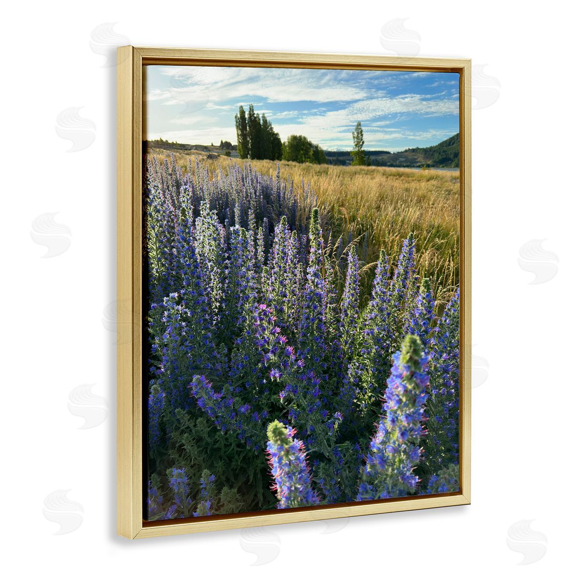 Lavender Fields Landscape Gold Floating Frame Canvas Wall Art, Home Decor by Kali Wilson