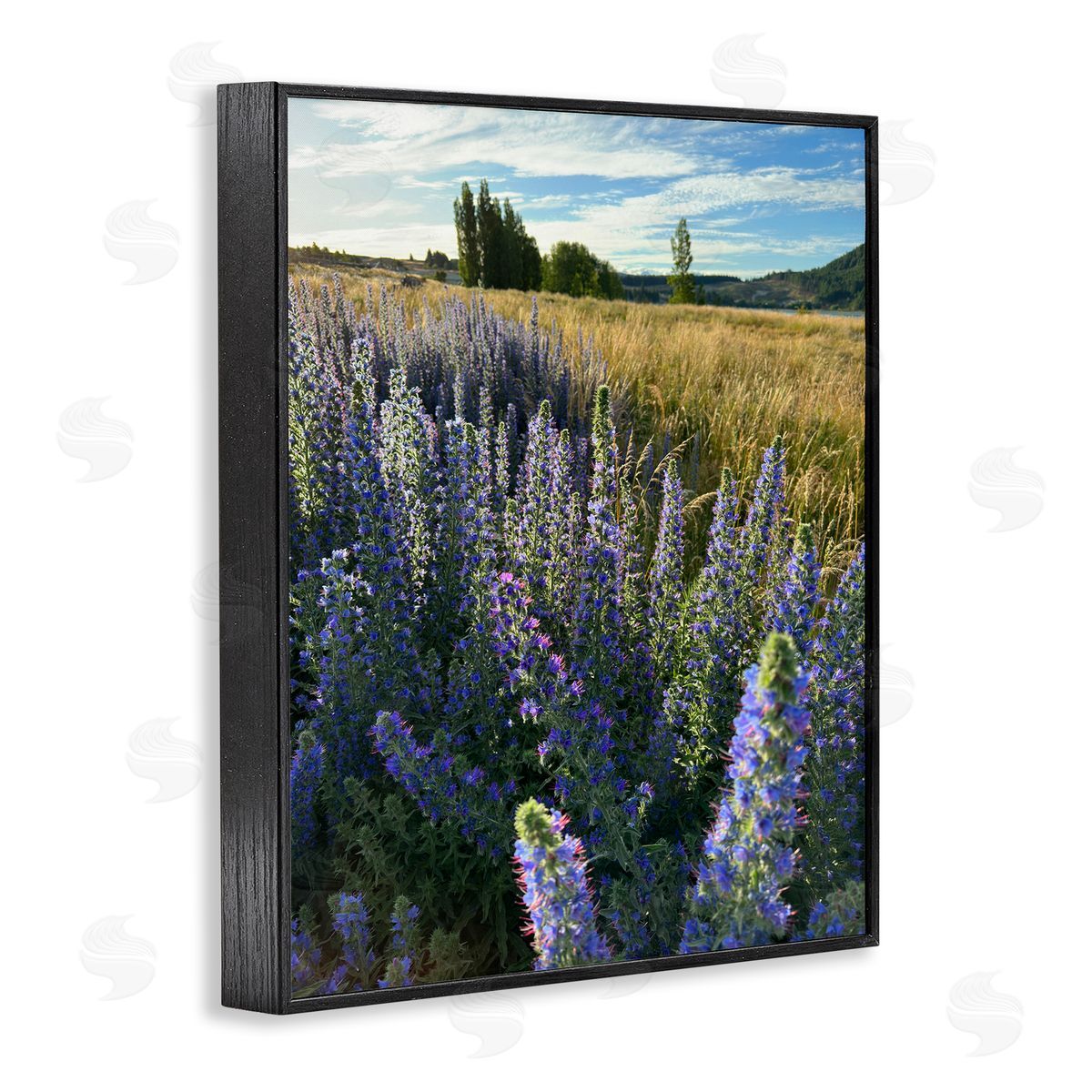 Lavender Fields Landscape Black Frame Print Wall Art, Home Decor by Kali Wilson