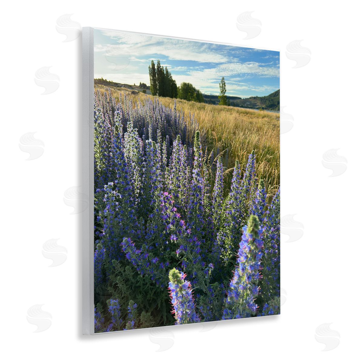Lavender Fields Landscape Wood Plaque Wall Art, Home Decor by Kali Wilson