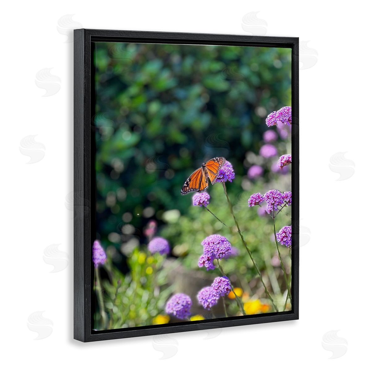 Butterfly in Meadow Black Floating Frame Canvas Wall Art, Home Decor by Kali Wilson