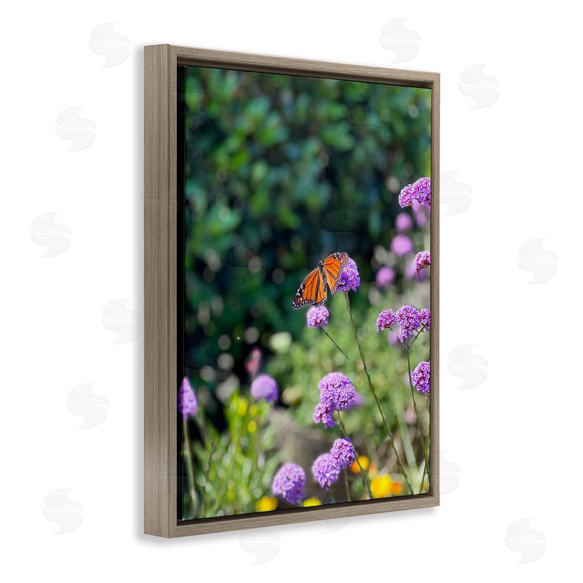 Butterfly in Meadow Brown Floating Frame Canvas Wall Art, Home Decor by Kali Wilson