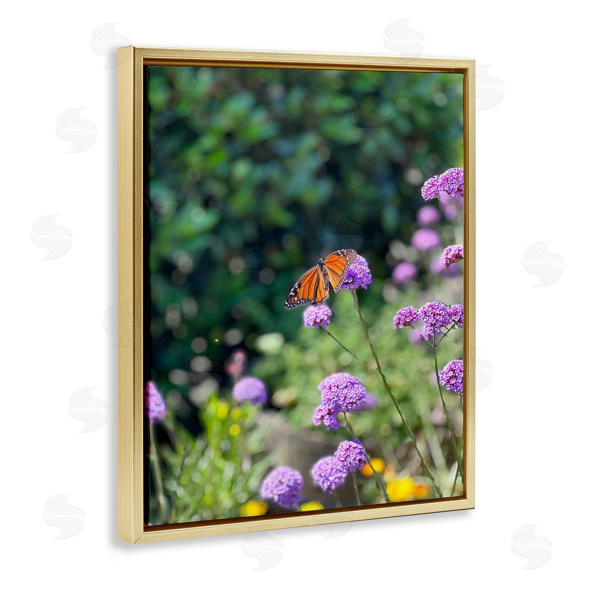 Butterfly in Meadow Gold Floating Frame Canvas Wall Art, Home Decor by Kali Wilson