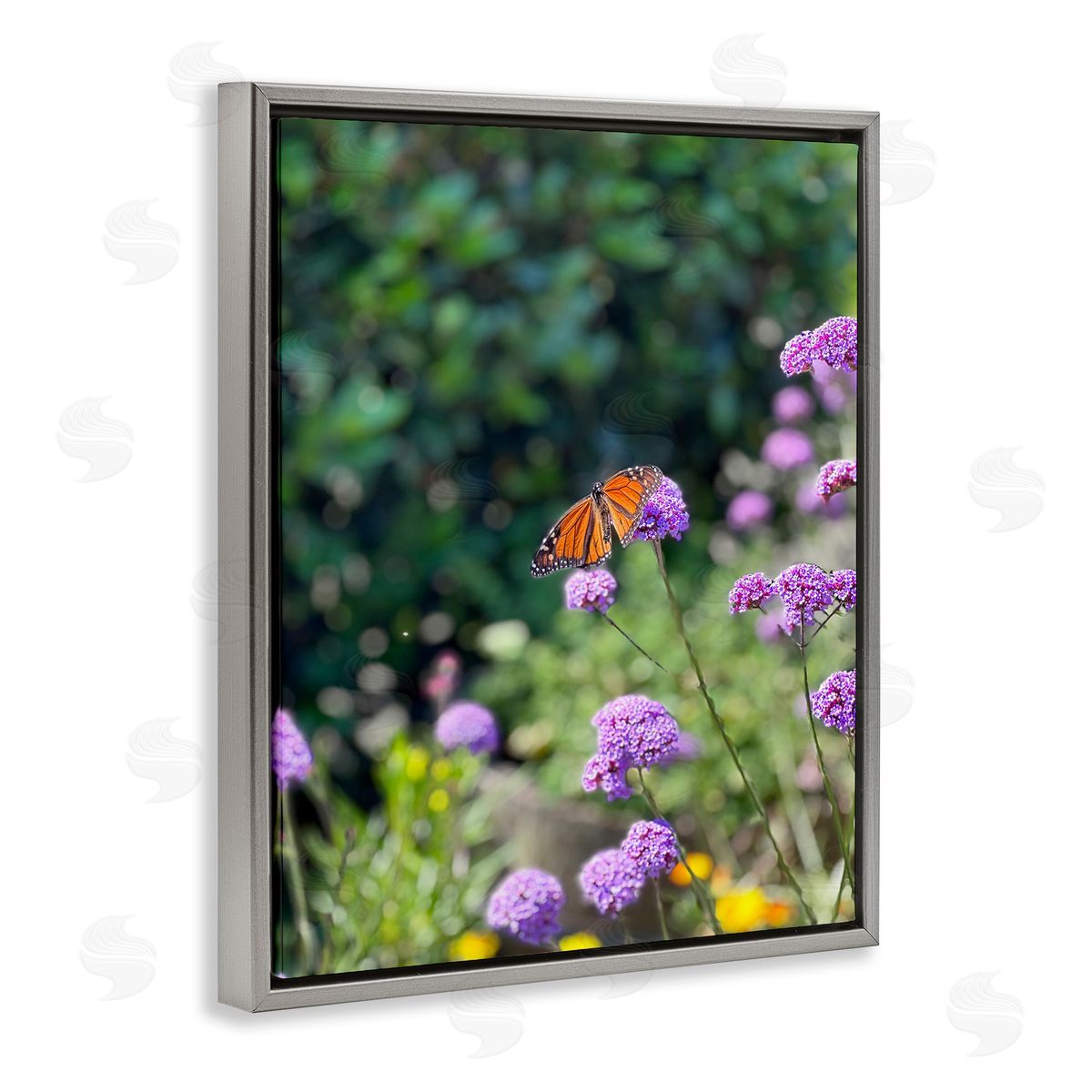 Butterfly in Meadow Grey Floating Frame Canvas Wall Art, Home Decor by Kali Wilson