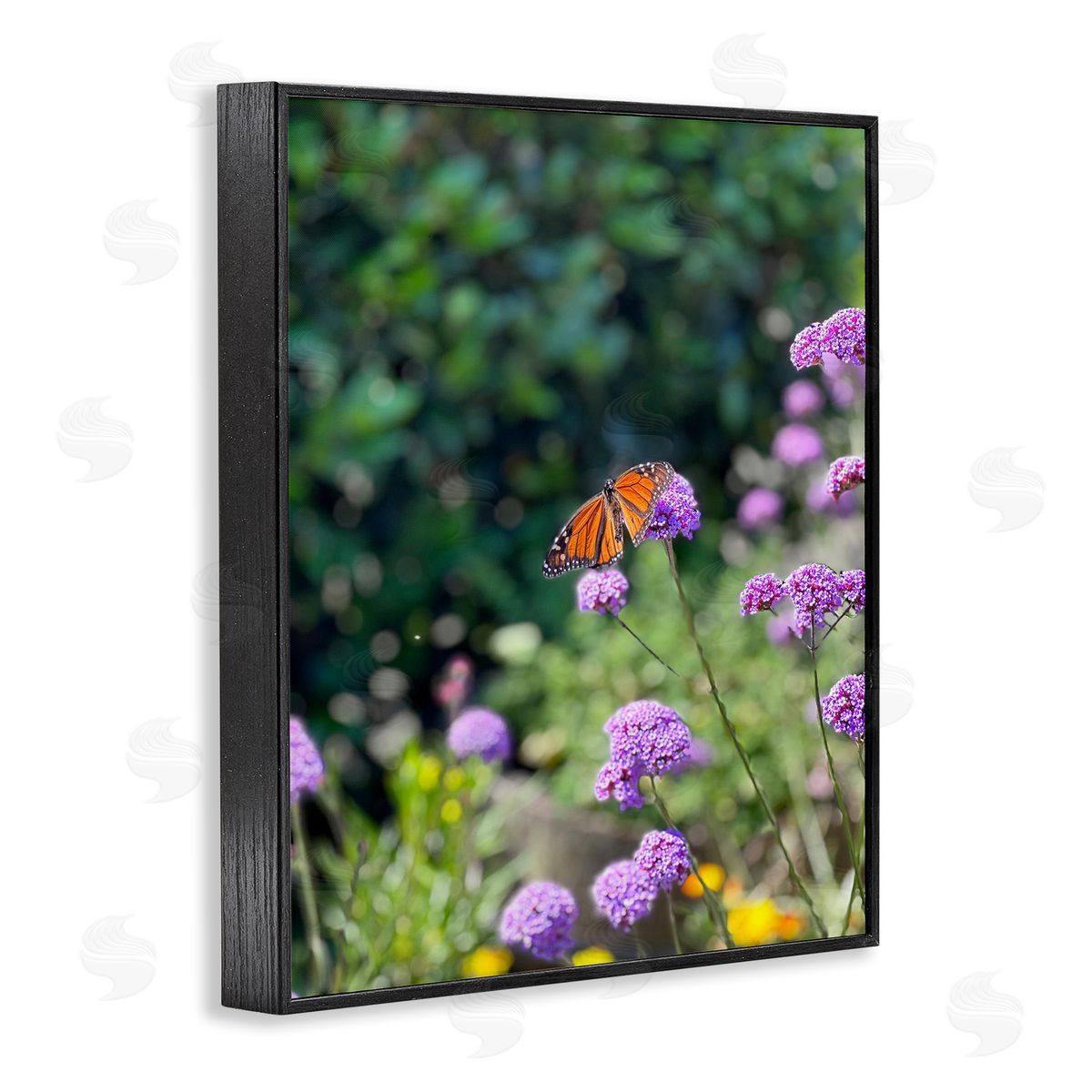 Butterfly in Meadow Black Frame Print Wall Art, Home Decor by Kali Wilson