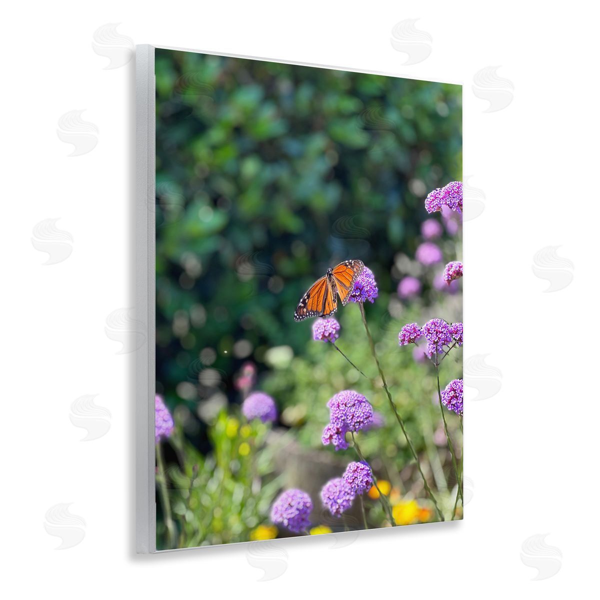 Butterfly in Meadow Wood Plaque Wall Art, Home Decor by Kali Wilson