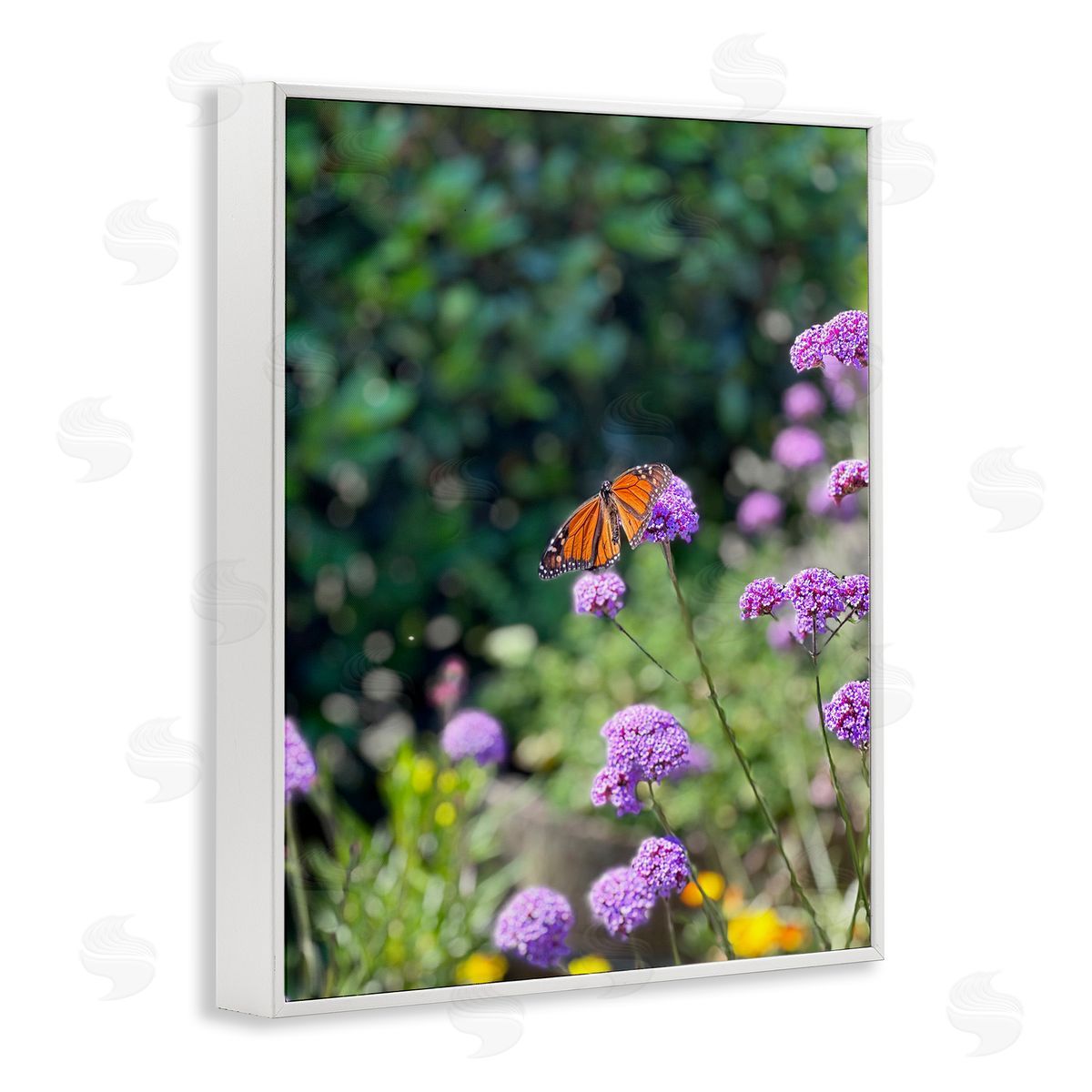 Butterfly in Meadow White Frame Print Wall Art, Home Decor by Kali Wilson