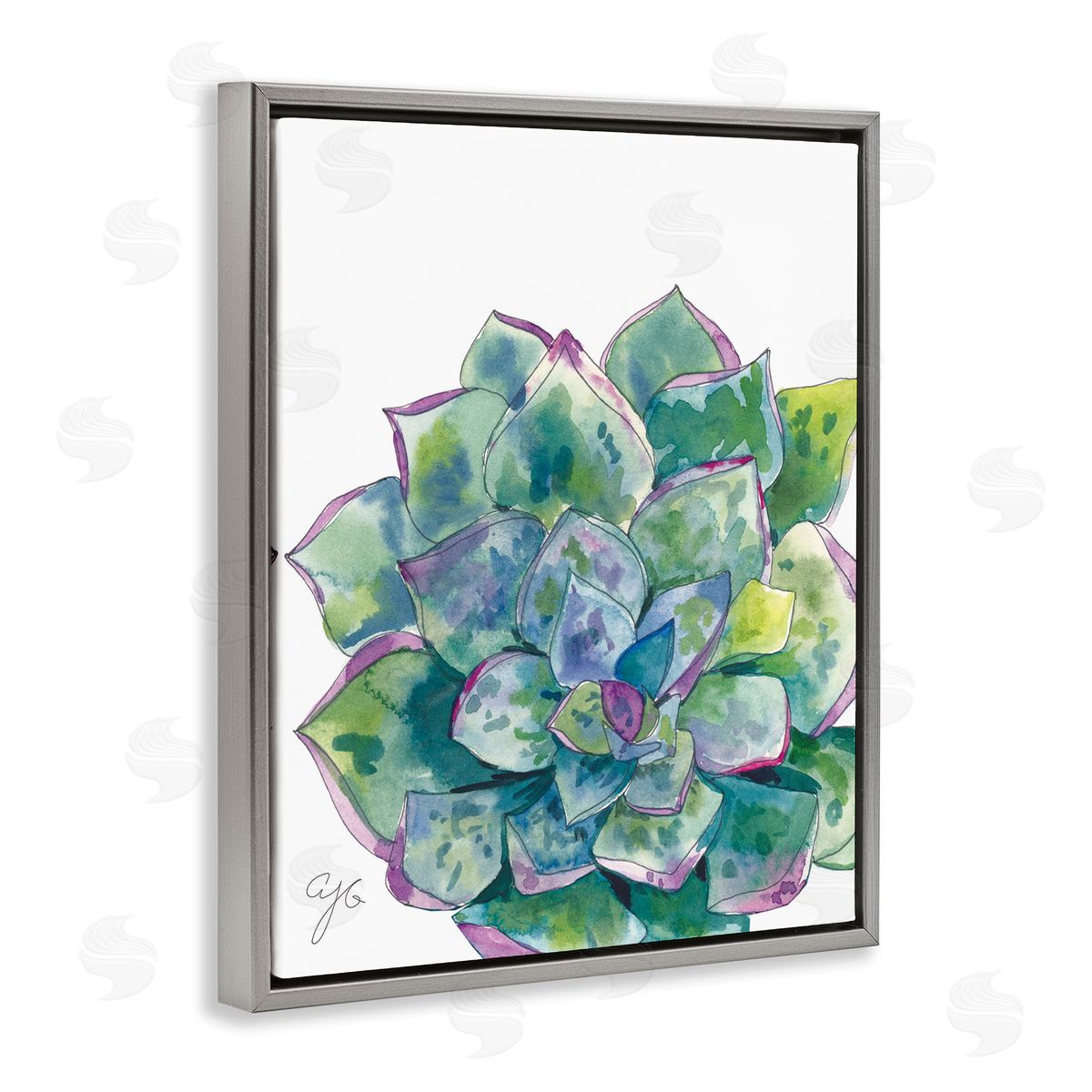 Abstract Succulent Watercolor Grey Floating Frame Canvas Wall Art, Home Decor by Alexandria Gilbert Kincaid