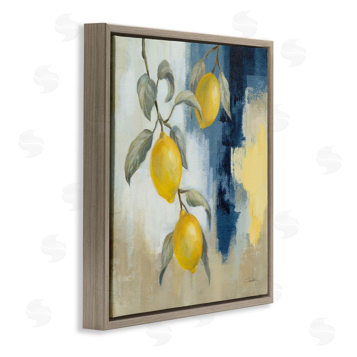 Silvia Vassileva Lemons From South Brown Floating Frame Canvas Wall Art Print