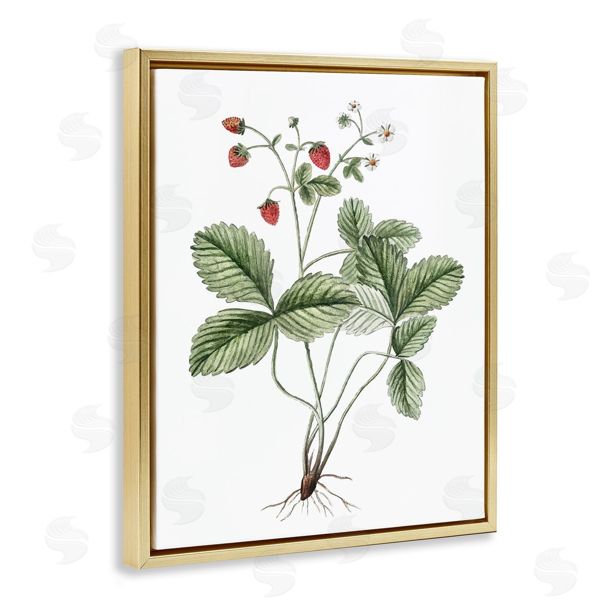 Budding Strawberries Study Gold Floating Frame Canvas Wall Art, Home Decor by Lettered and Lined