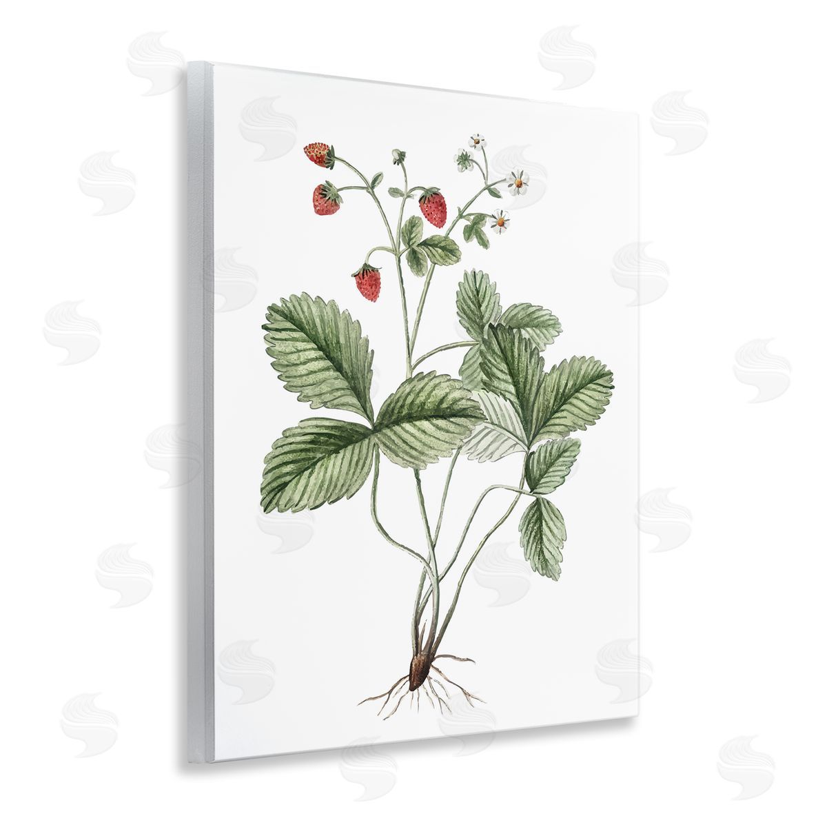Budding Strawberries Study Wood Plaque Wall Art, Home Decor by Lettered and Lined