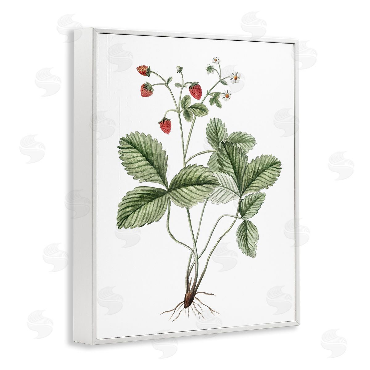 Budding Strawberries Study White Frame Print Wall Art, Home Decor by Lettered and Lined