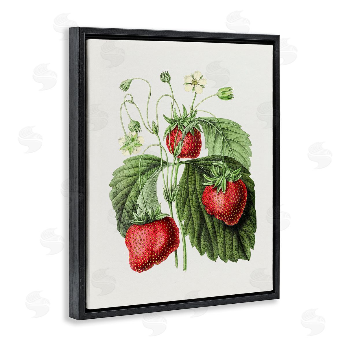 Vintage Strawberries Study Black Floating Frame Canvas Wall Art, Home Decor by Lettered and Lined