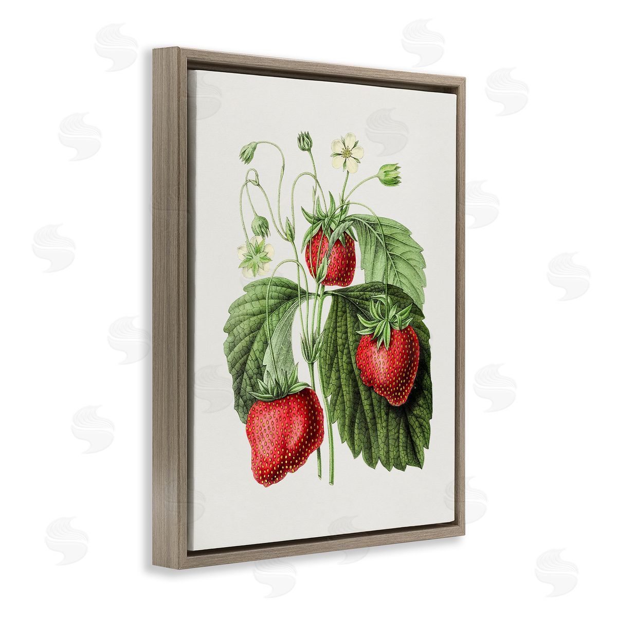 Vintage Strawberries Study Brown Floating Frame Canvas Wall Art, Home Decor by Lettered and Lined