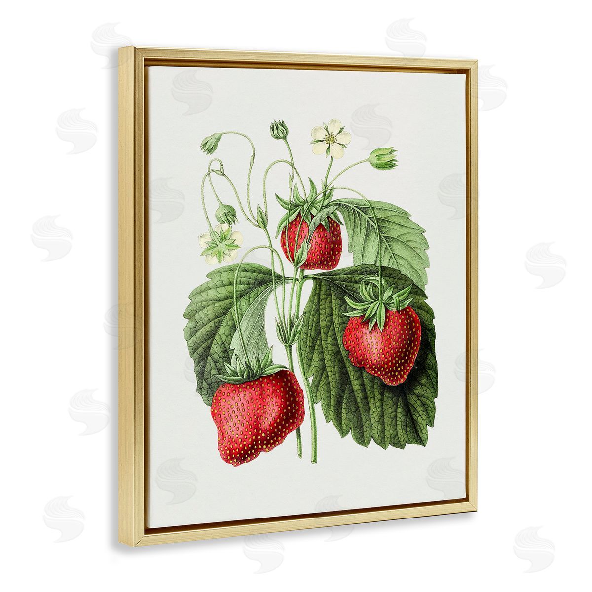 Vintage Strawberries Study Gold Floating Frame Canvas Wall Art, Home Decor by Lettered and Lined