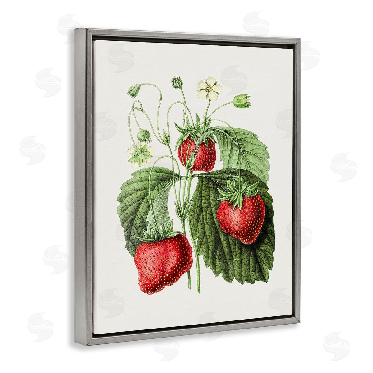 Vintage Strawberries Study Grey Floating Frame Canvas Wall Art, Home Decor by Lettered and Lined