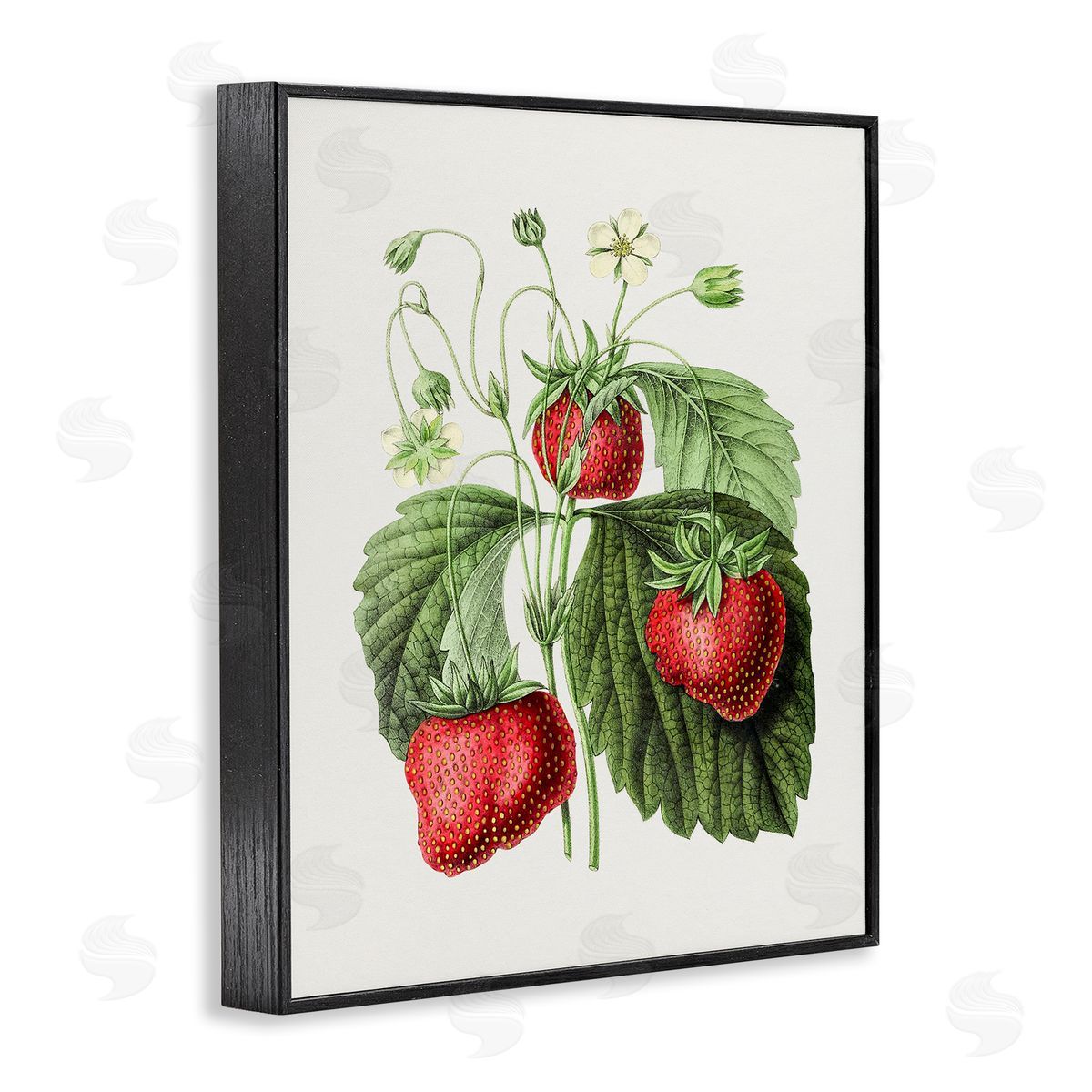 Vintage Strawberries Study Black Frame Print Wall Art, Home Decor by Lettered and Lined