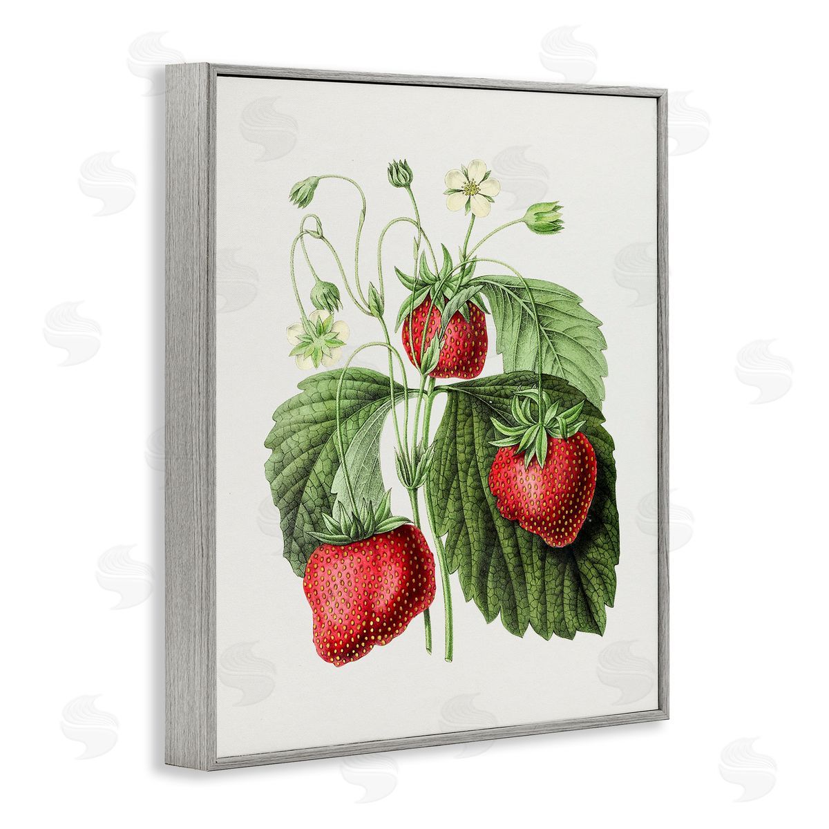 Vintage Strawberries Study Grey Frame Print Wall Art, Home Decor by Lettered and Lined