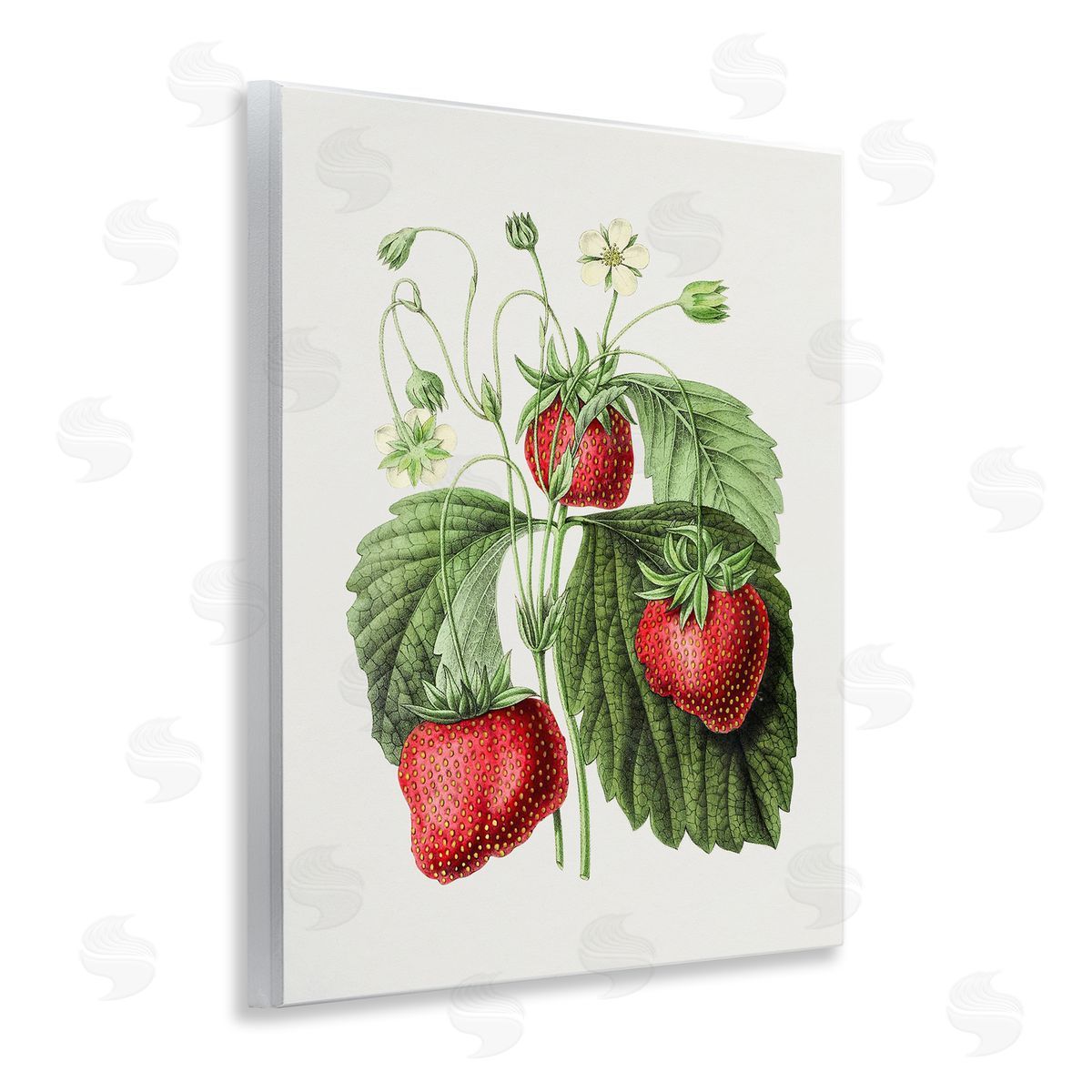 Vintage Strawberries Study Wood Plaque Wall Art, Home Decor by Lettered and Lined