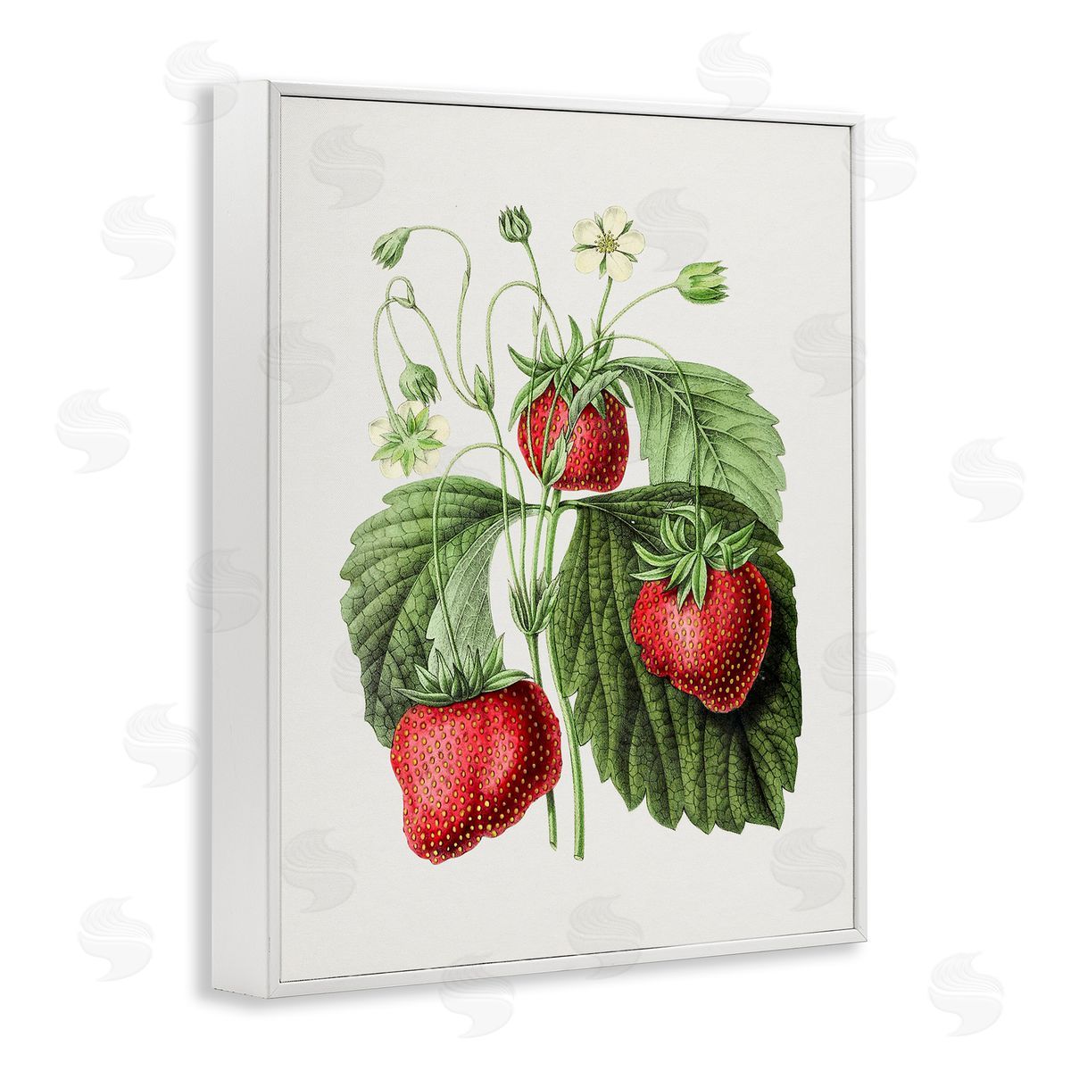 Vintage Strawberries Study White Frame Print Wall Art, Home Decor by Lettered and Lined