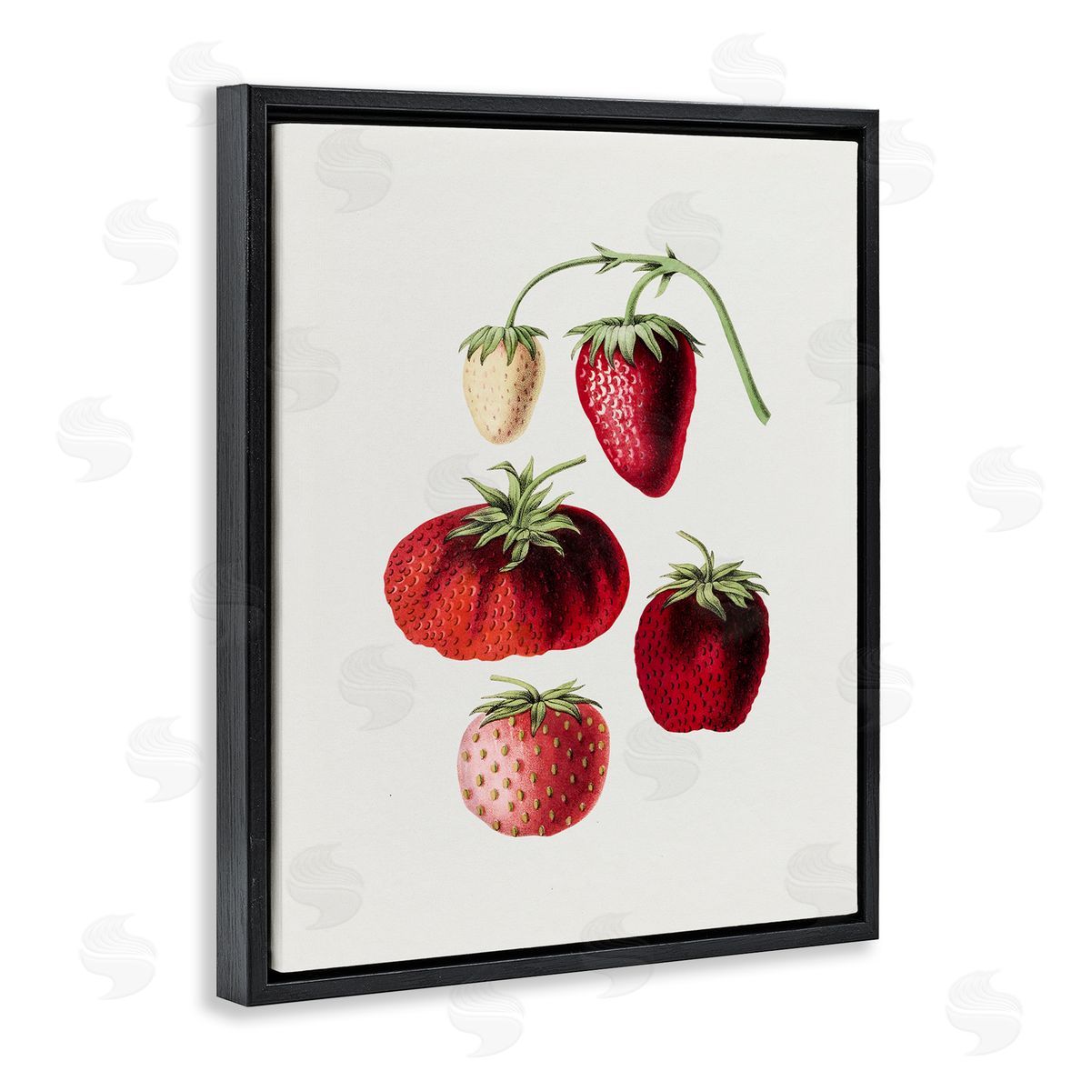 Natural Berries Study Black Floating Frame Canvas Wall Art, Home Decor by Lettered and Lined
