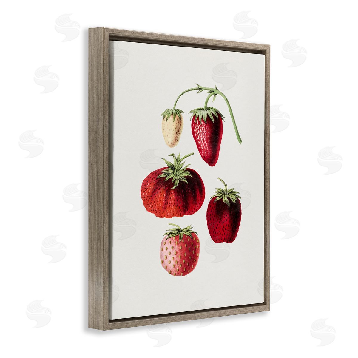 Natural Berries Study Brown Floating Frame Canvas Wall Art, Home Decor by Lettered and Lined