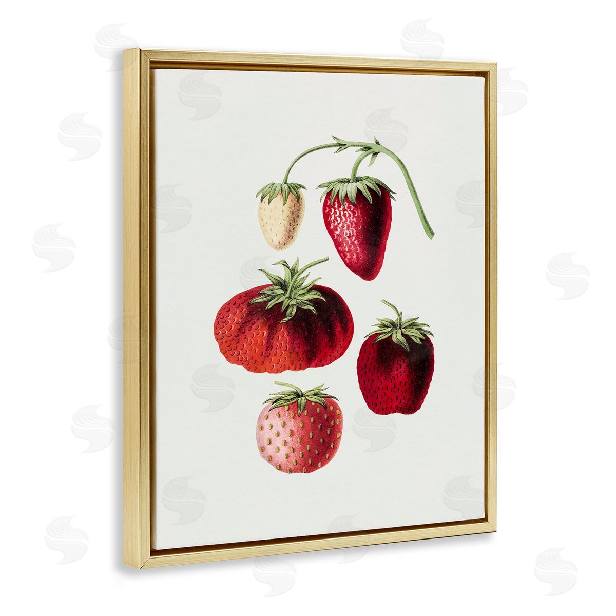 Natural Berries Study Gold Floating Frame Canvas Wall Art, Home Decor by Lettered and Lined