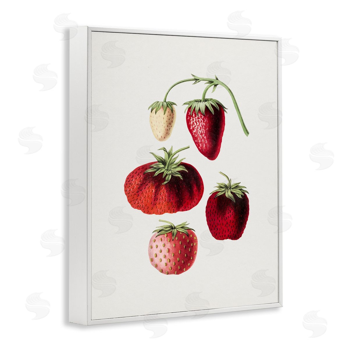 Natural Berries Study White Frame Print Wall Art, Home Decor by Lettered and Lined
