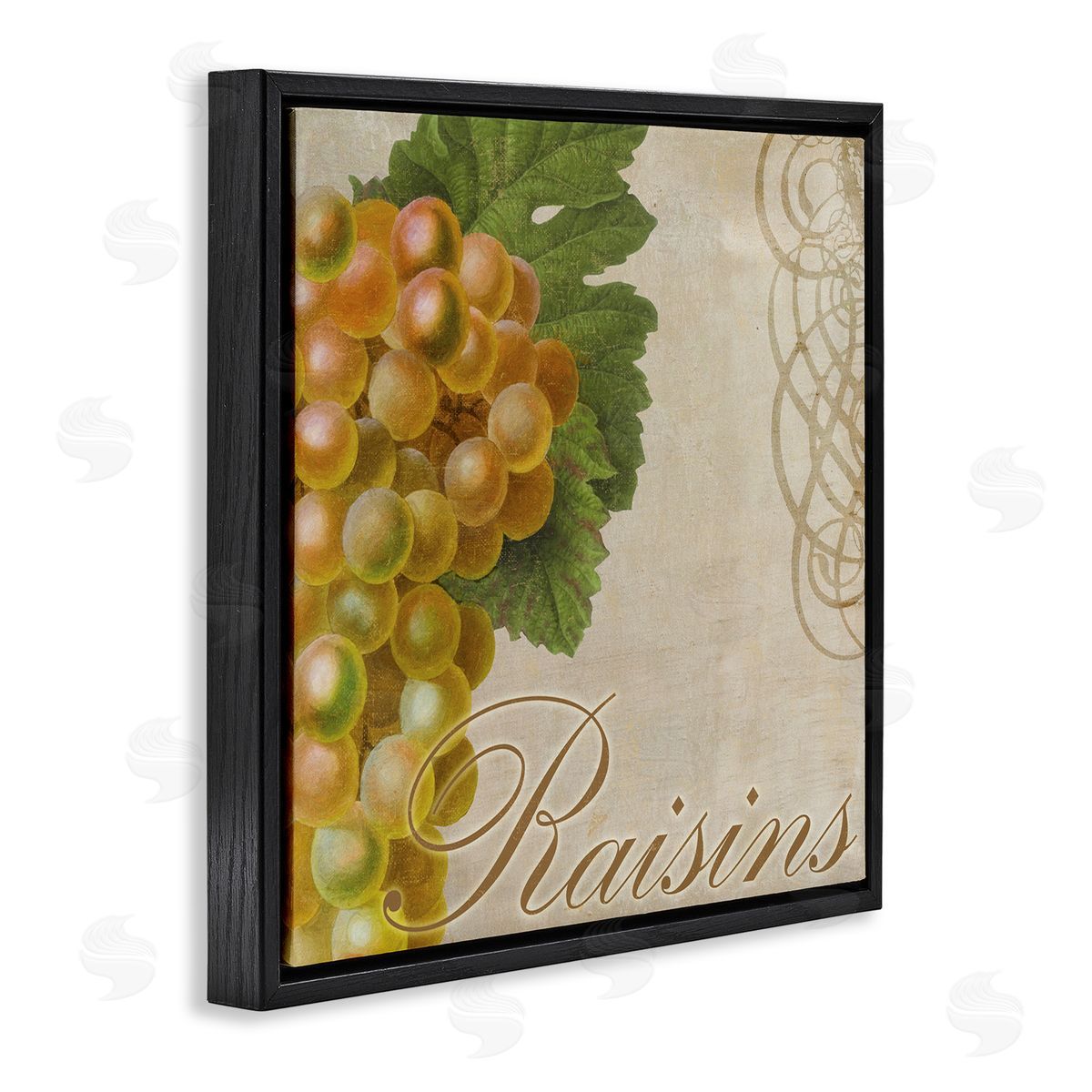 Sasha Vintage French Grapes Black Floating Frame Canvas Wall Art Print