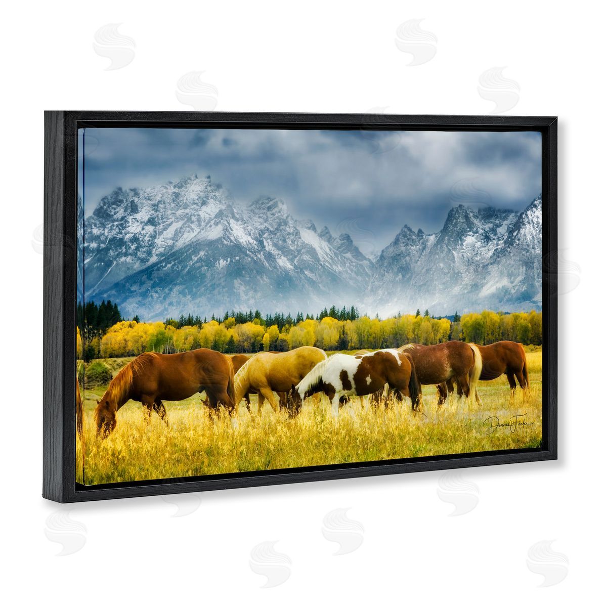 Horses in Wilderness Black Floating Frame Canvas Wall Art, Home Decor by Dennis Frates
