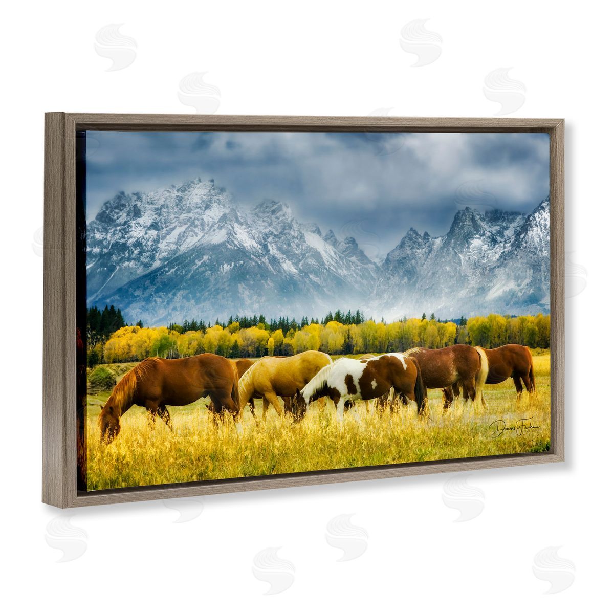 Horses in Wilderness Brown Floating Frame Canvas Wall Art, Home Decor by Dennis Frates