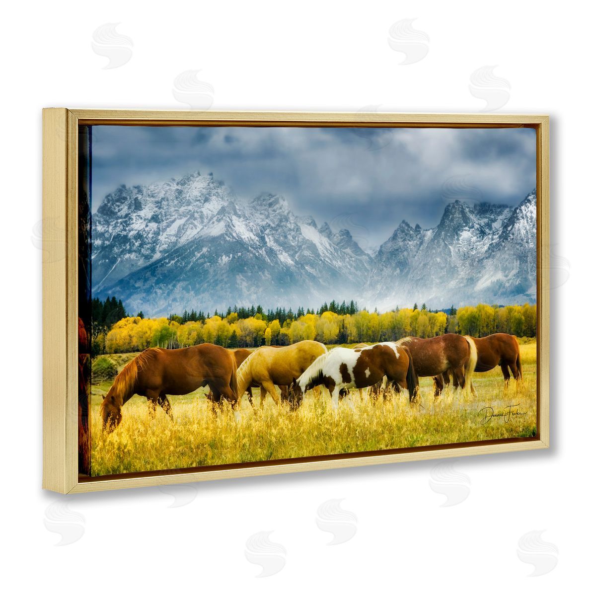 Horses in Wilderness Gold Floating Frame Canvas Wall Art, Home Decor by Dennis Frates