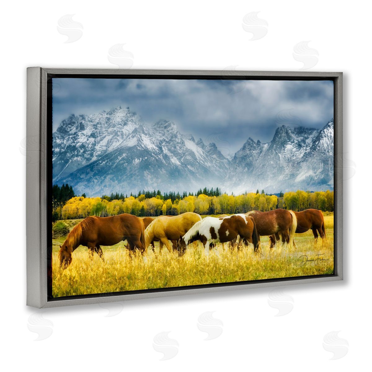 Horses in Wilderness Grey Floating Frame Canvas Wall Art, Home Decor by Dennis Frates