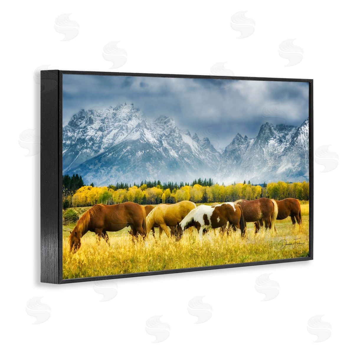 Horses in Wilderness Black Frame Print Wall Art, Home Decor by Dennis Frates