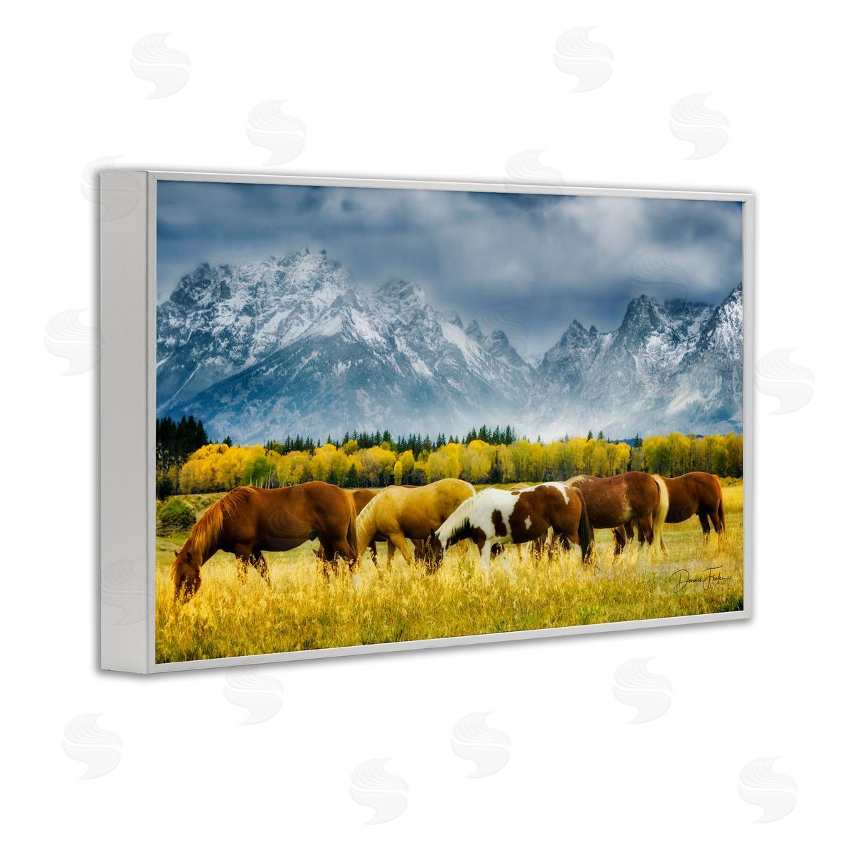 Horses in Wilderness White Frame Print Wall Art, Home Decor by Dennis Frates