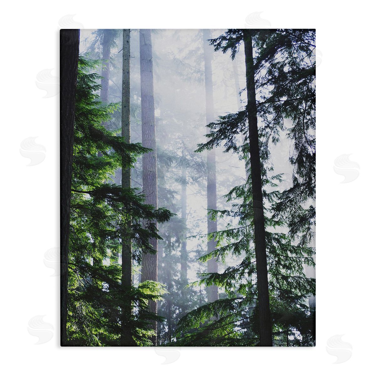 Foggy Forest View Canvas Wall Art, Home Decor by Gail Peck