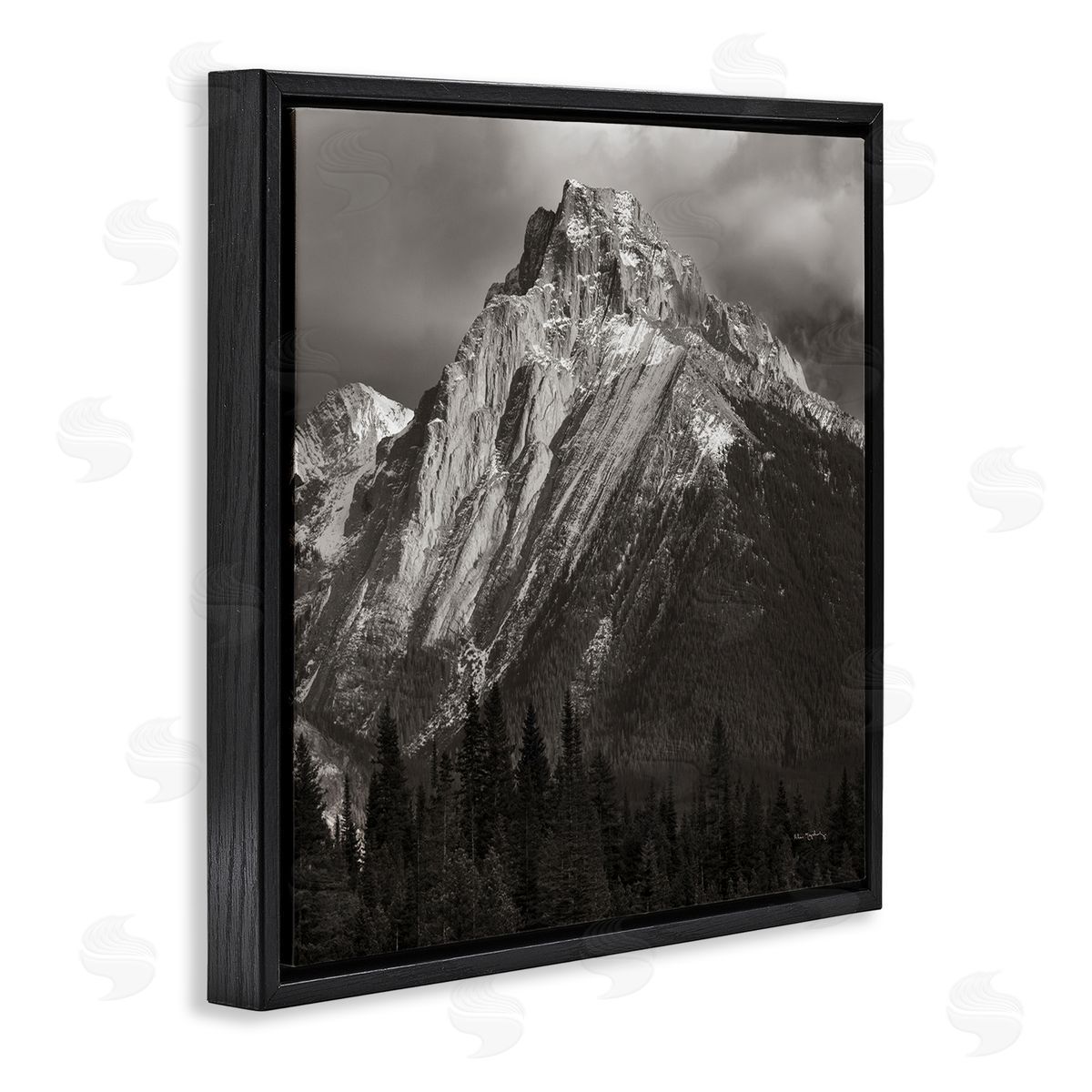 Alan Majchrowicz Canadian Rockies View Black Floating Frame Canvas Wall Art Print