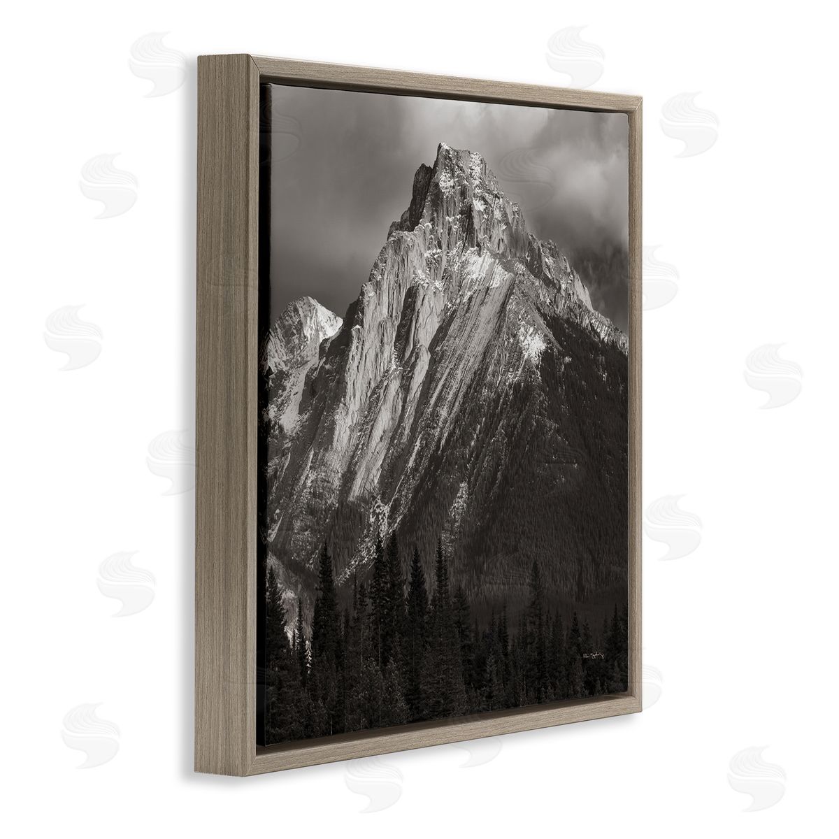 Alan Majchrowicz Canadian Rockies View Brown Floating Frame Canvas Wall Art Print
