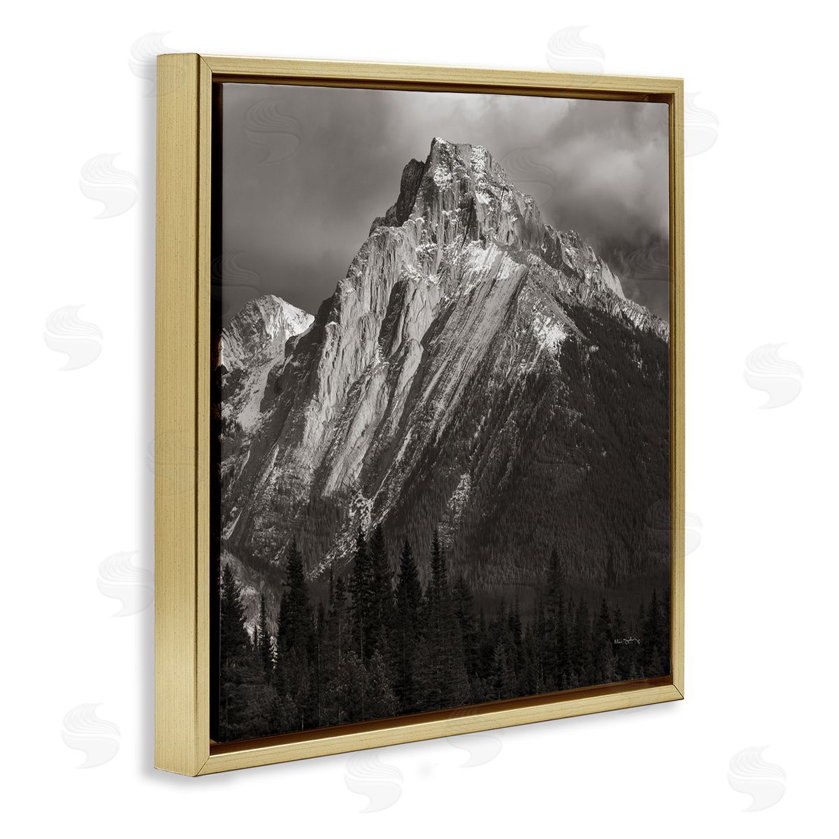 Alan Majchrowicz Canadian Rockies View Gold Floating Frame Canvas Wall Art Print