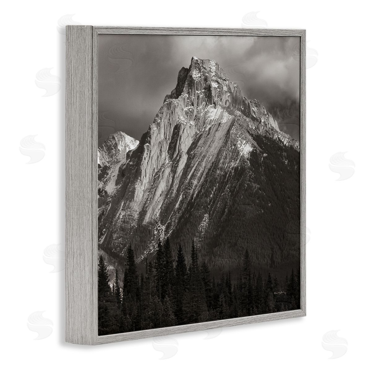 Alan Majchrowicz Canadian Rockies View Gray Framed Giclee Wall Art Print