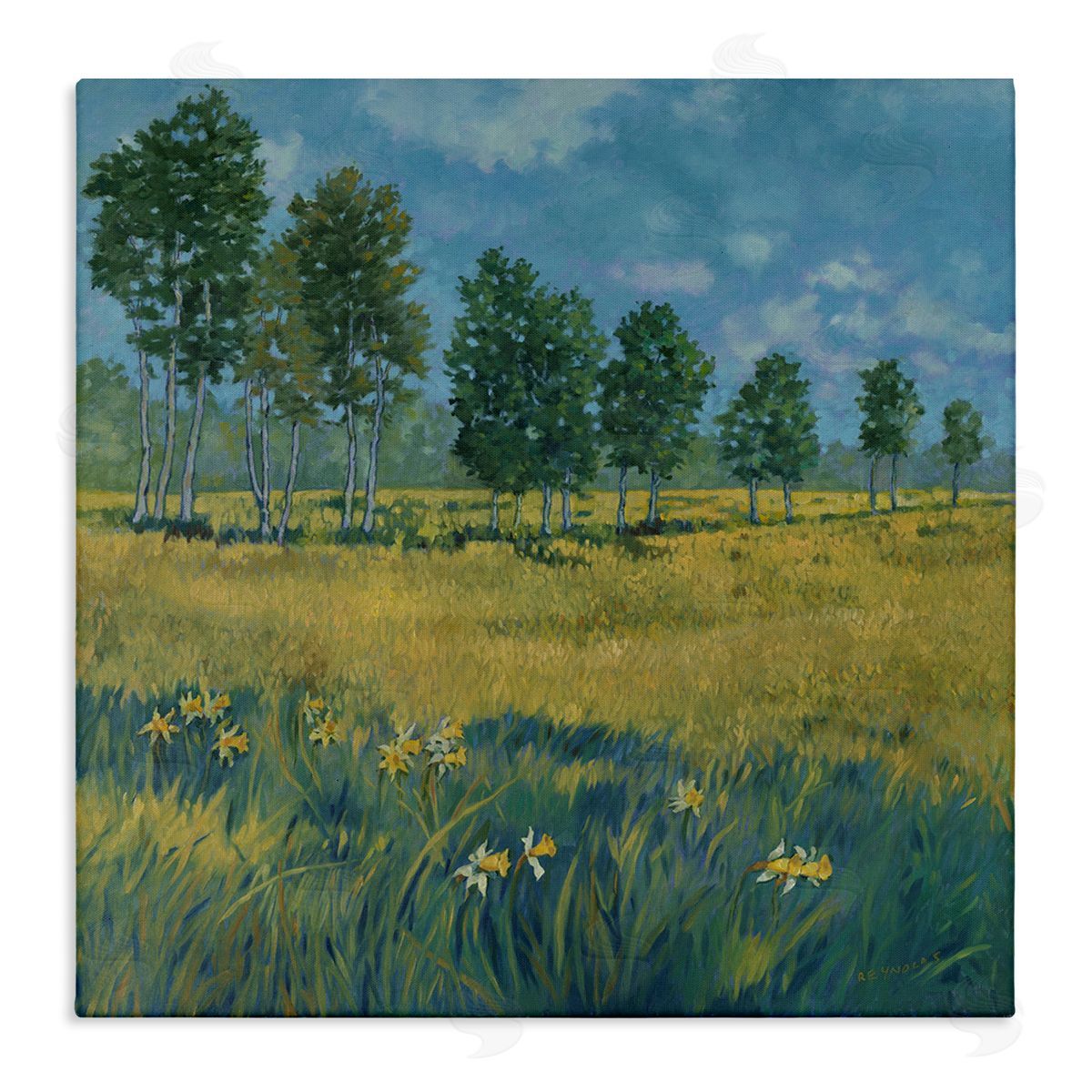 Graham Reynolds Daffodil Field Landscape Canvas Wall Art Print