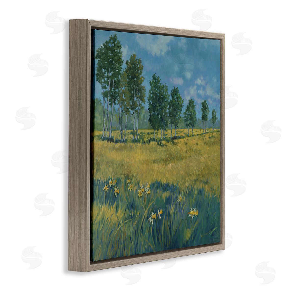Graham Reynolds Daffodil Field Landscape Brown Floating Frame Canvas Wall Art Print