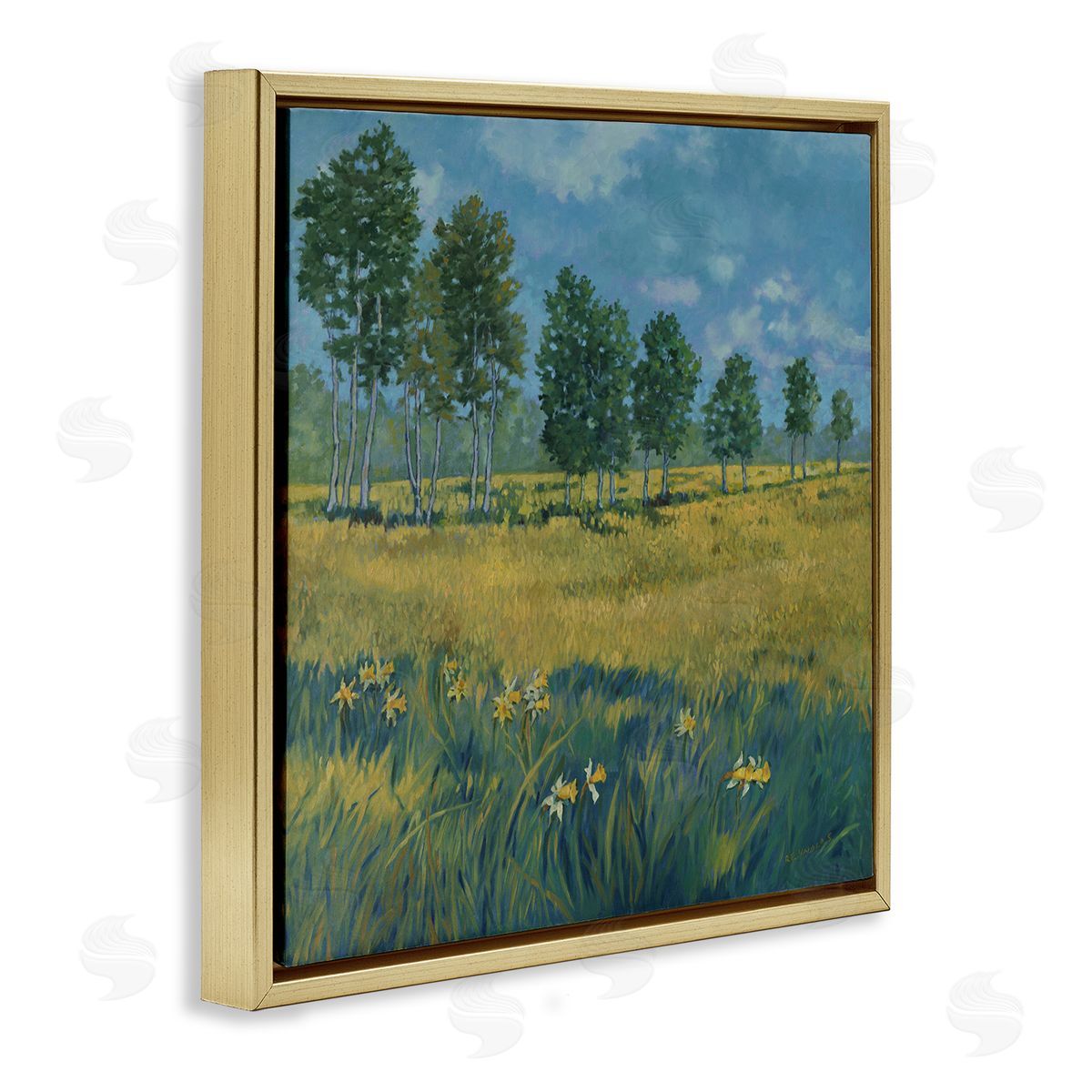 Graham Reynolds Daffodil Field Landscape Gold Floating Frame Canvas Wall Art Print
