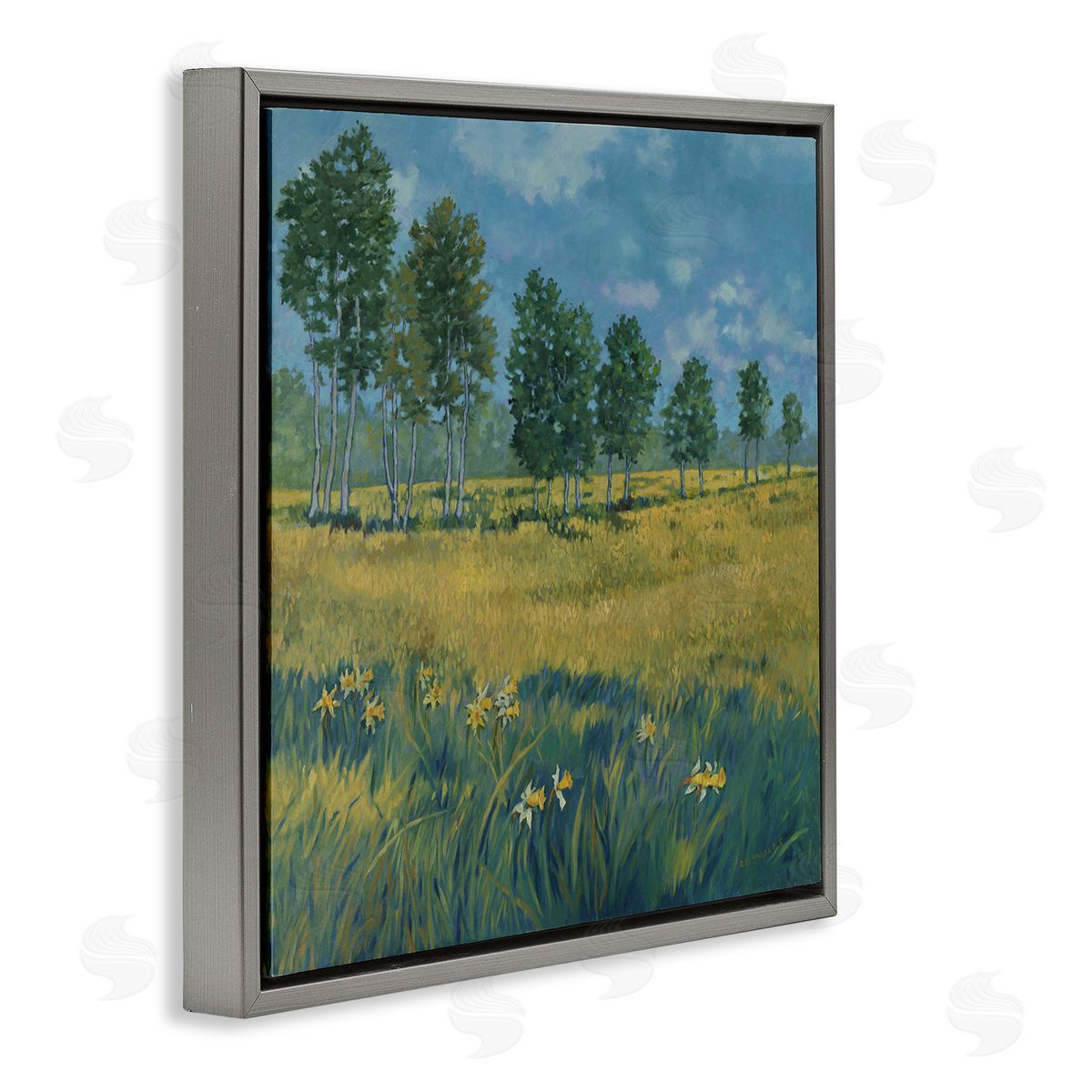 Graham Reynolds Daffodil Field Landscape Gray Floating Frame Canvas Wall Art Print