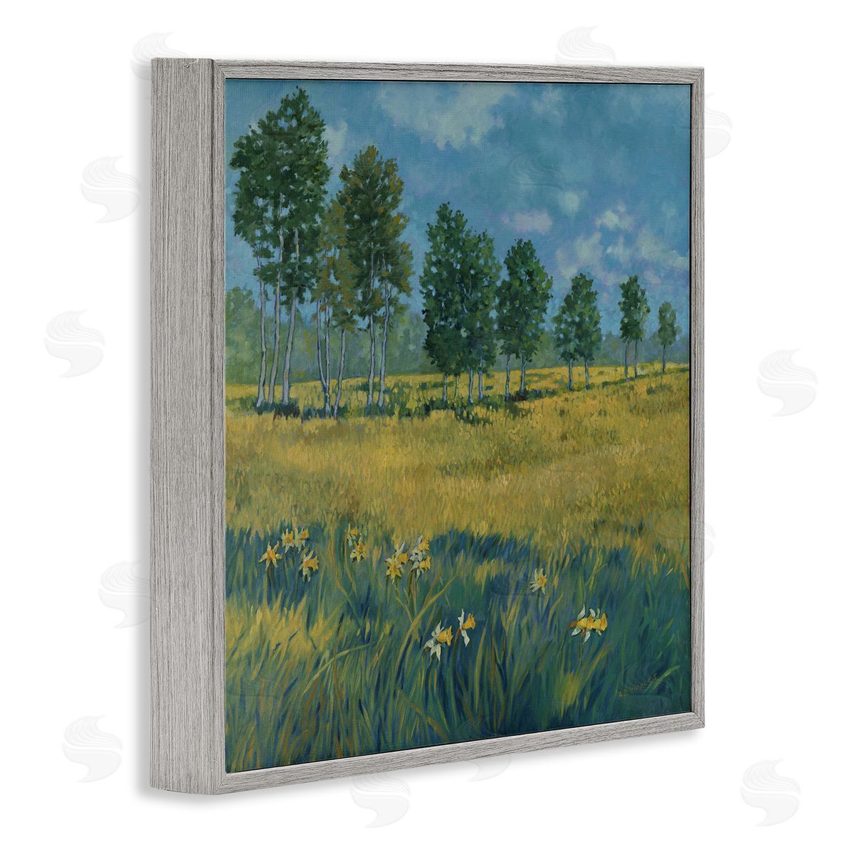 Graham Reynolds Daffodil Field Landscape Gray Framed Giclee Wall Art Print